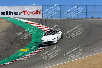 media/Aug-07-2022-Speed SF (Sun) [[e575f3050c]]/Blue and Green Combined/Session 3 (Corkscrew)/